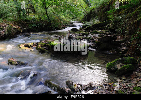 River Trevillet running through St Nectans Glen Tintagel Cornwall England UK GB Stock Photo