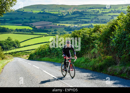 Cyclist climbing a hill on the B4594 Powys Wales Stock Photo