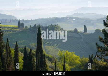 San Gimignano, Tuscany, Italy. View across typical vine-covered hillsides at dawn.