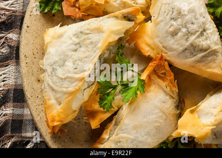 Homemade Greek Spanakopita Pastry with Feta and Spinach Stock Photo