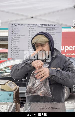 New York, USA. 31st October, 2014. 3rd generation fishmonger wearing Halloween Pinnochio nose in Union Square greenmarket hands a bag of tasty looking fish to a customer on the morning of All Hallows eve Credit:  Dorothy Alexander/Alamy Live News Stock Photo
