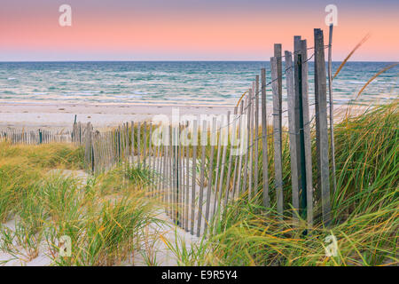 Sand Dune Fences at sunrise over the Atlantic ocean on Cape Cod, Massachusetts Stock Photo