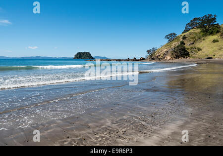 Sandy shore and rocks, Port Jackson, Coromandel Peninsular, New Zealand Stock Photo