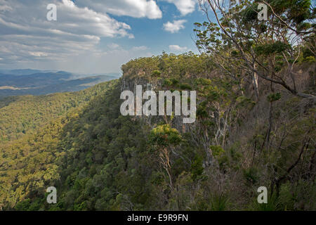 View of Australian landscape with high rocky cliffs and forested valley  from lookout at remote Kroombit Tops National Park Stock Photo
