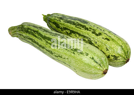two isolated variegated baby marrows on white background Stock Photo