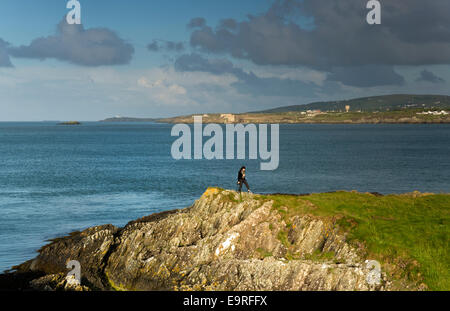 IoAC Coastal Path western end of Bull Bay (Port Llechog) near Amlwch on northern coast Isle of Anglesey, North Wales UK, Summer Stock Photo