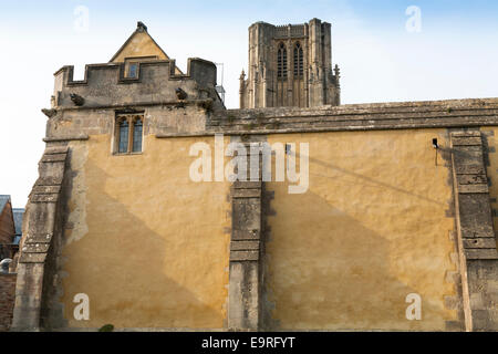 Reverse side of outer wall – with buttresses – of Wells' Cathedral cloister garth also known as Palm Churchyard, seen from Bishop's Palace gardens. UK Stock Photo