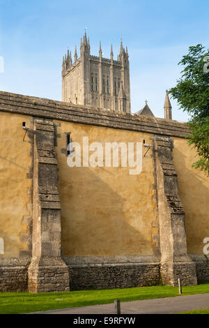 Reverse side of outer wall – with buttresses – of Wells' Cathedral cloister garth also known as Palm Churchyard, seen from Bishop's Palace gardens. UK Stock Photo