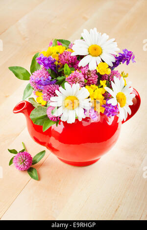 red teapot with bouquet of healing herbs and flowers, herbal medicine Stock Photo
