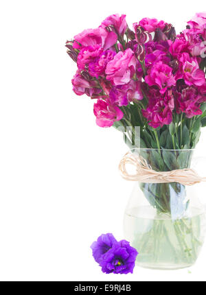 bunch of  mauve eustoma flowers Stock Photo