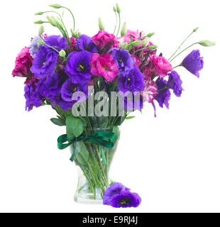 bunch of  mauve eustoma flowers Stock Photo