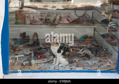 A cat in a shoe shop window display, Paros, Greece. Stock Photo