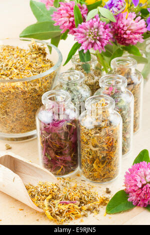 different healing herbs in glass bottles, flowers bouquet, herbal medicine Stock Photo