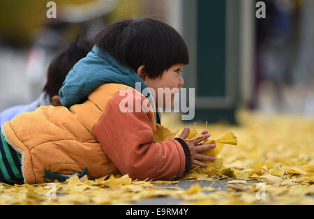 Beijing, China. 1st Nov, 2014. A child plays with ginkgo leaves in Tsinghua University of Beijing, capital of China, Nov. 1, 2014. © Chen Yehua/Xinhua/Alamy Live News Stock Photo