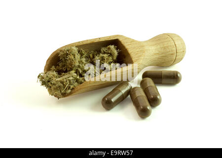 Homeopathy. Healing herbs with scoop and herbal pills