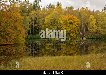 Loch Dunmore, Faskally, Pitlochry, Scotland, United Kingdom Stock Photo