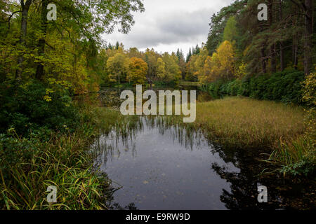 Loch Dunmore, Faskally, Pitlochry, Scotland, United Kingdom Stock Photo