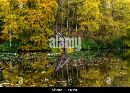 Loch Dunmore, Faskally, Pitlochry, Scotland, United Kingdom Stock Photo