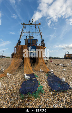 Seagulls on the fishing nets of boats on The Stade, a shingle beach in Hastings Old Town, East Susex Stock Photo