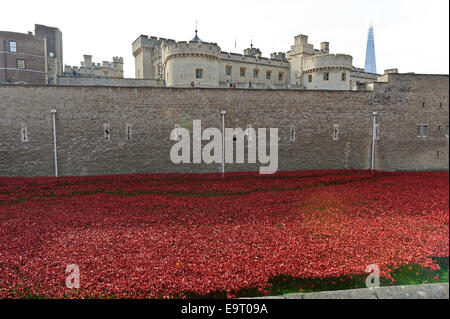 A large number of ceramic poppies on display in the moat of Tower of London, England, United Kingdom. Stock Photo