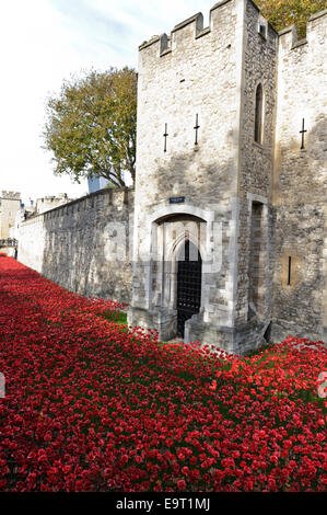 The ceramic Poppies display to commemorate the sacrifice made by soldiers during the First World War at the Tower of London, UK. Stock Photo