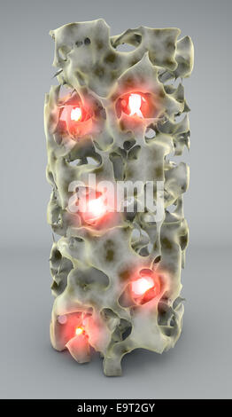 3d Section of bone with osteoporosis,anatomy bone Stock Photo - Alamy