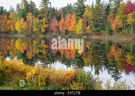 Pontook Reservoir on the Androscoggin River along Route 16 in Dummer, New Hampshire USA during the autumn months Stock Photo