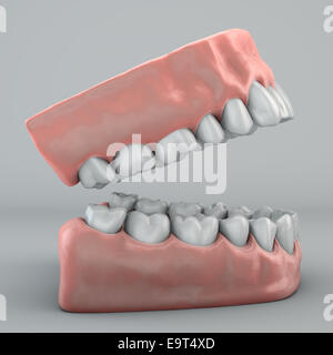 Illustration of denture on a grey background Stock Photo