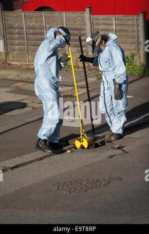 Ilford, London, UK. 01st Nov, 2014. Man found dead after woman murdered in Ilford on Friday evening. A young woman was stabbed to death on Valentines Road in Ilford at around 17:30 Friday 31/10/14. Some 90 minutes later a male was found collapsed in AucklandRd.,  Ilford it is understood his death is related to the earlier stabbing. The dead man's death is not being treated as suspicious. A large crime scene cordon was put in place resulting in significant disruption to local residents Friday night and into Saturday afternoon as police searched local gardens for clues. © HOT SHOTS/Alamy Live Ne Stock Photo