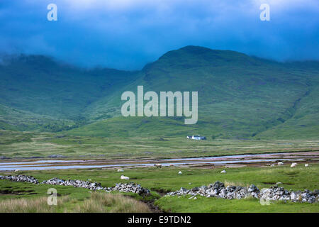 Small white solitary crofters cottage nestling below mountain range by loch on Isle of Mull in the Inner Hebrides and Western Is Stock Photo