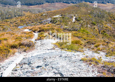 landscape and terrain of Lake st clair national park near cradle mountain,tasmania,australia Stock Photo