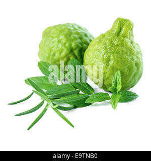 kaffir Lime or Bergamot fruit and fresh mint, rosemary is isolated on white background, closeup