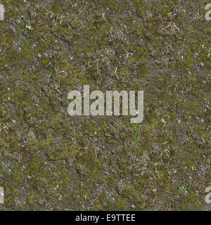 Moss on Cracked Ground with Dry Grass. Seamless Tileable Texture. Stock Photo