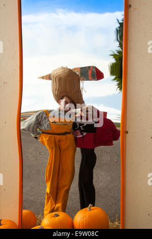 Fun and interesting reflected images of two people with pumpkins, in distorting convex & concave mirrors giving repetitive reflections; a crazy  optical illusion in a funhouse mirror. The funny face distorted person reflections of the subject using a curved mirror is a traditional source of amusement in the fairground Hall of Mirrors. Stock Photo