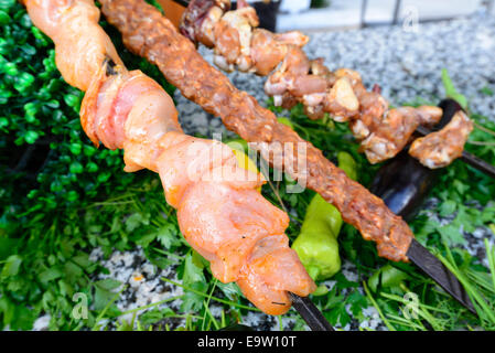 Raw meat on skewers of vegetables Stock Photo