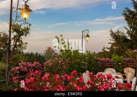 Lamp, Flowers, green weeds, leaves, plants and trees on colorful sunset on vineyards backgrounds on cultivated hills in Italian countryside the small village of Dozza near Bologna in Emilia Romagna Stock Photo