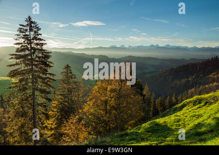 Autumn morning in Emmental near Langnau, canton of Bern, Switzerland Stock Photo
