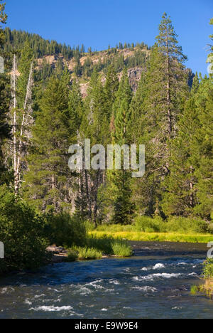 Truckee River along Truckee River Bike Trail, Lake Tahoe Basin National Forest, California Stock Photo