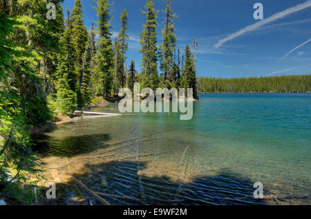 The south shore of Charlton Lake in the Deschutes National Forest, Oregon Stock Photo