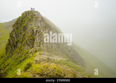 Walkers on Striding Edge on Helvellyn in the Lake District Stock Photo