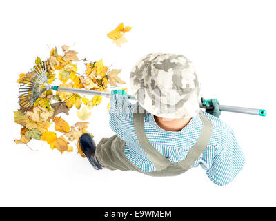 Pile of dead fall leaves being swept by female gardener using fan rake, shot from above on white background Stock Photo