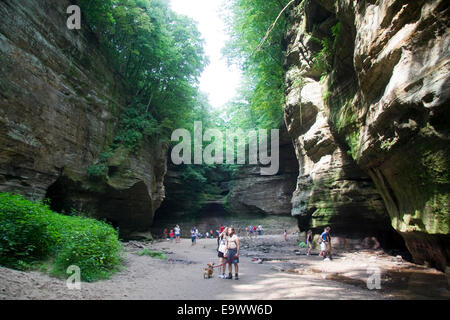 Starved Rock State Park. Canyon Stock Photo