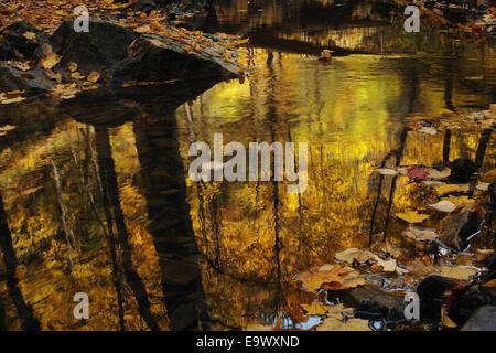 The stunning autumn colors are captured in the reflection of a small stream. Stock Photo