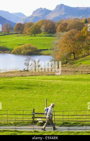 Man walking by style alongside a footpath at Loughrigg Tarn, The Lake District, Cumbria, England, UK. Stock Photo