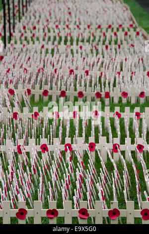 Westminster London,UK. 3rd November 2014. British Legion volunteers begin planting crosses on the field of Remembrance at Westminster Abbey ahead of Armistice day commemorations to remember the dead soldiers of past and present conflicts Credit:  amer ghazzal/Alamy Live News Stock Photo