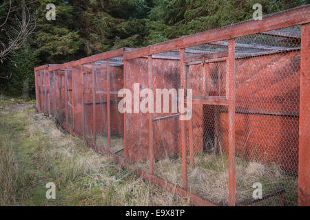 Secret Cages at Bennan Forest In Dumfries & Galloway. Stock Photo