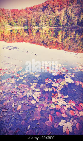 Vintage filtered autumn landscape with reflection in a lake. Stock Photo