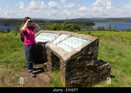Kielder Lake, Northumberland. Picturesque view of Kielder Lake from the elevated viewpoint at Elf Kirk. Stock Photo