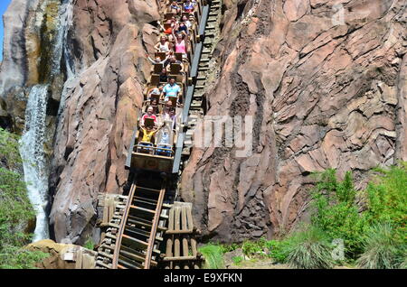 Expedition Everest Ride at Disney's Animal Kingdom, Walt Disney World Resort, Orlando, Florida Stock Photo