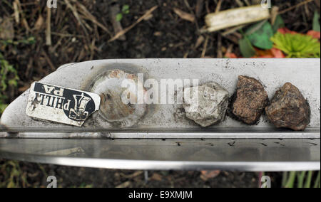 Clear Lake, IOWA, USA. 5th Oct, 2014. Three stones sit on the ledge of a memorial at the spot where the plane carrying Buddy Holly, Ritchie Valens and J.P. ''The Big Bopper'' Richardson crashed killing all aboard on Feb. 3, 1959, North of Clear Lake, Iowa. The three young singers were in a single-engine aircraft flying in a light snowstorm in 1959 when the pilot apparently lost control. Holly decided to fly because his tour bus was having heating problems. © Kevin E. Schmidt/ZUMA Wire/Alamy Live News Stock Photo